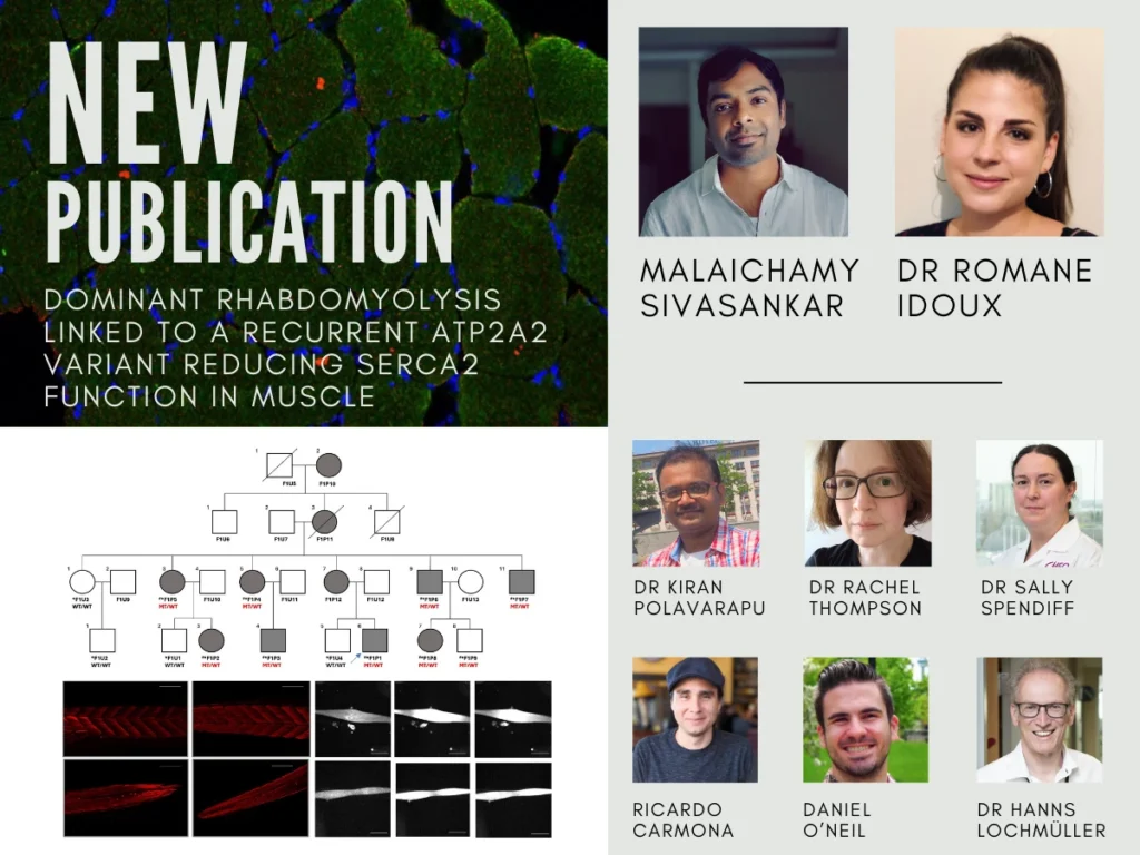 New publication: Identifies Novel ATP2A2 Variant as Genetic Cause of Dominant Rhabdomyolysis . Author's photos on the right, diagram from paper underneath title.