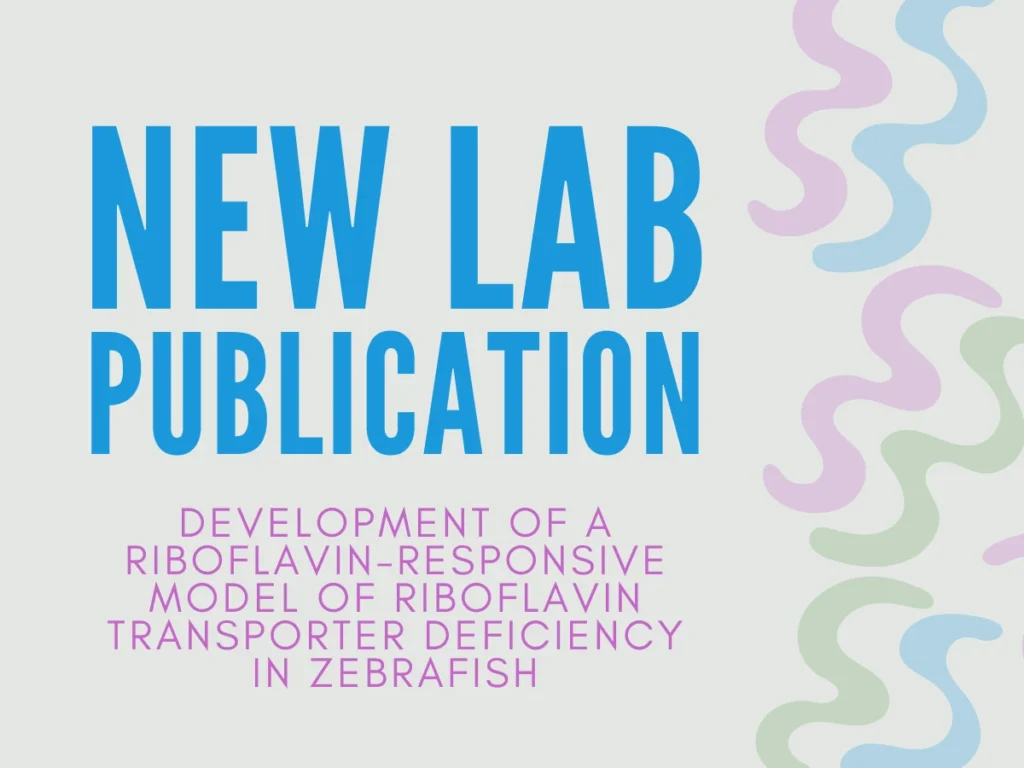 New lab publication on riboflavin transporter deficiency model