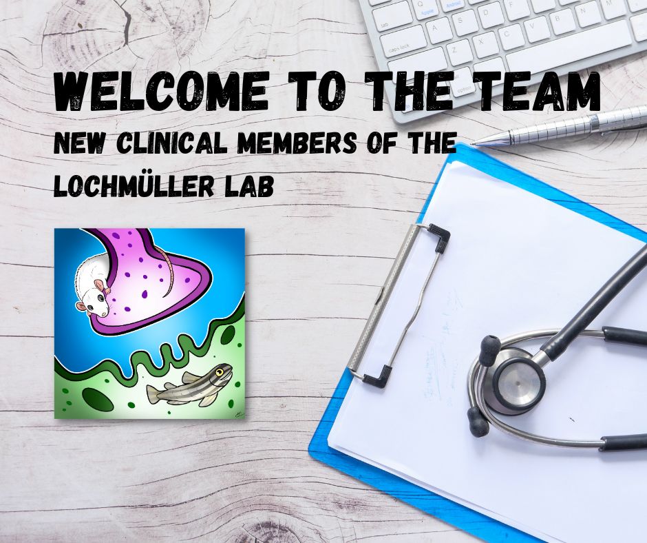 Welcome to the team - new members of the Lochmuller Lab