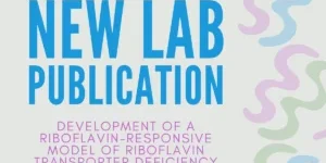 New lab publication on riboflavin transporter deficiency model